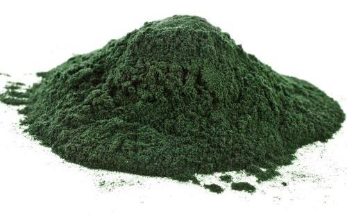 Spirulina